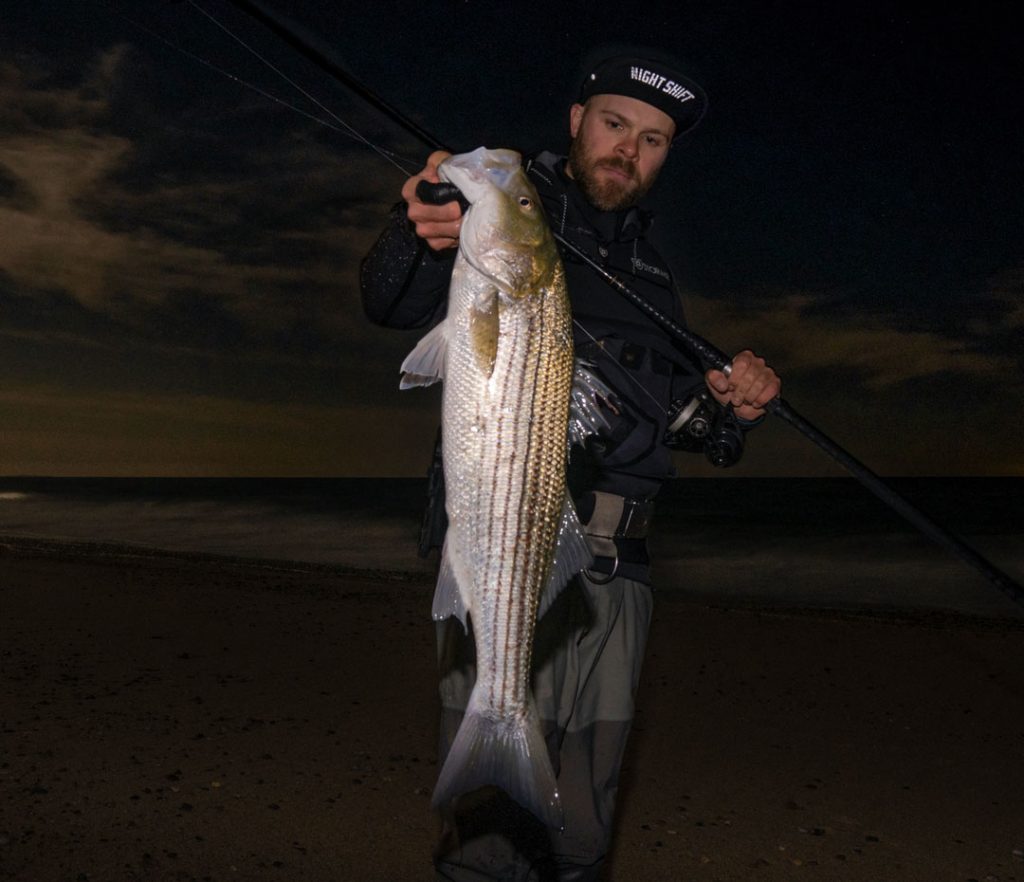 striper on beach at night