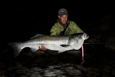 Sandy Beach Soft Plastics