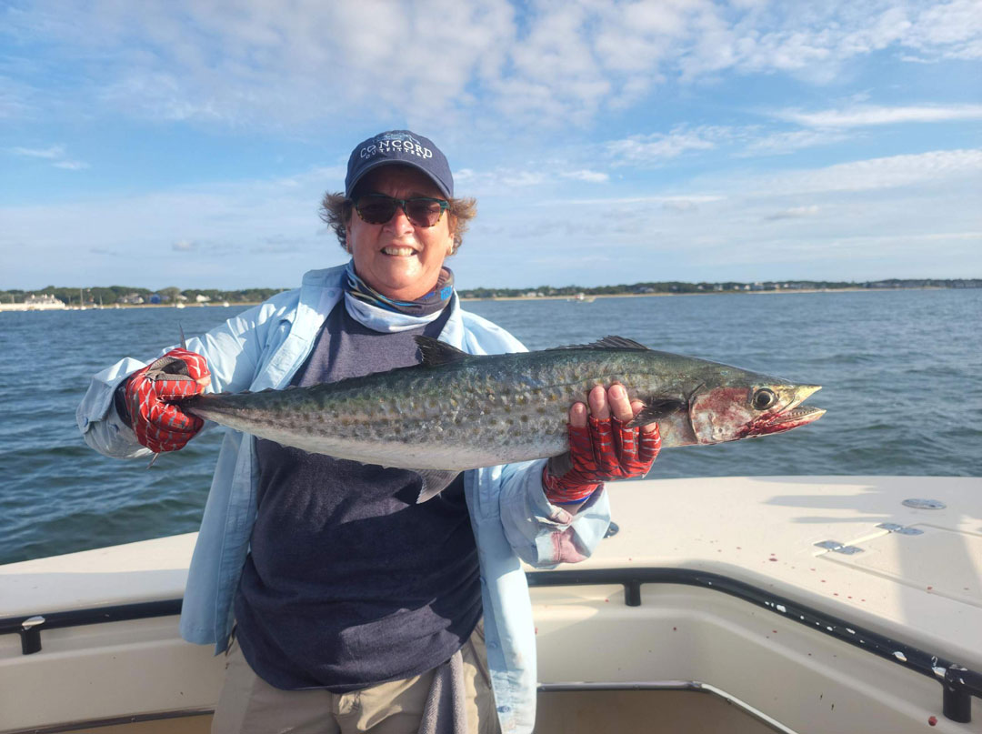 king mackerel
