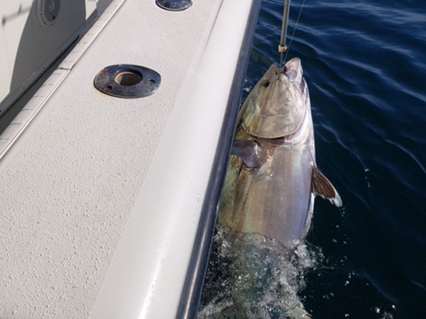 Seacoast NH Sportfishing tuna