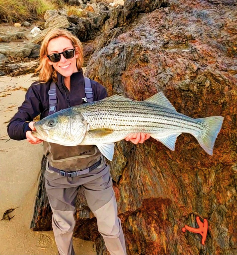 Maine sur striped bass