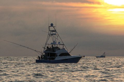 Fall Fishing In the Canyons