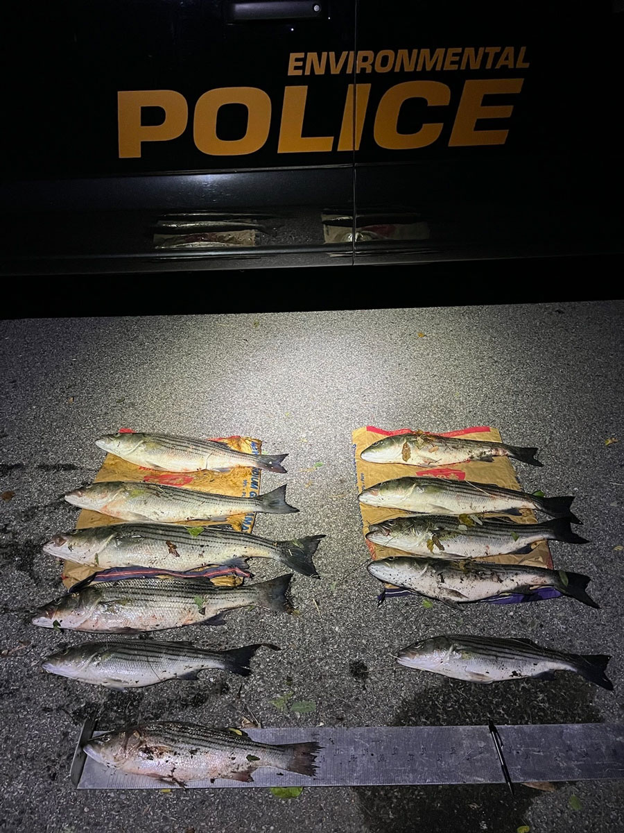 RI poached striped bass