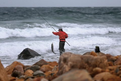Rocky beach striped bass