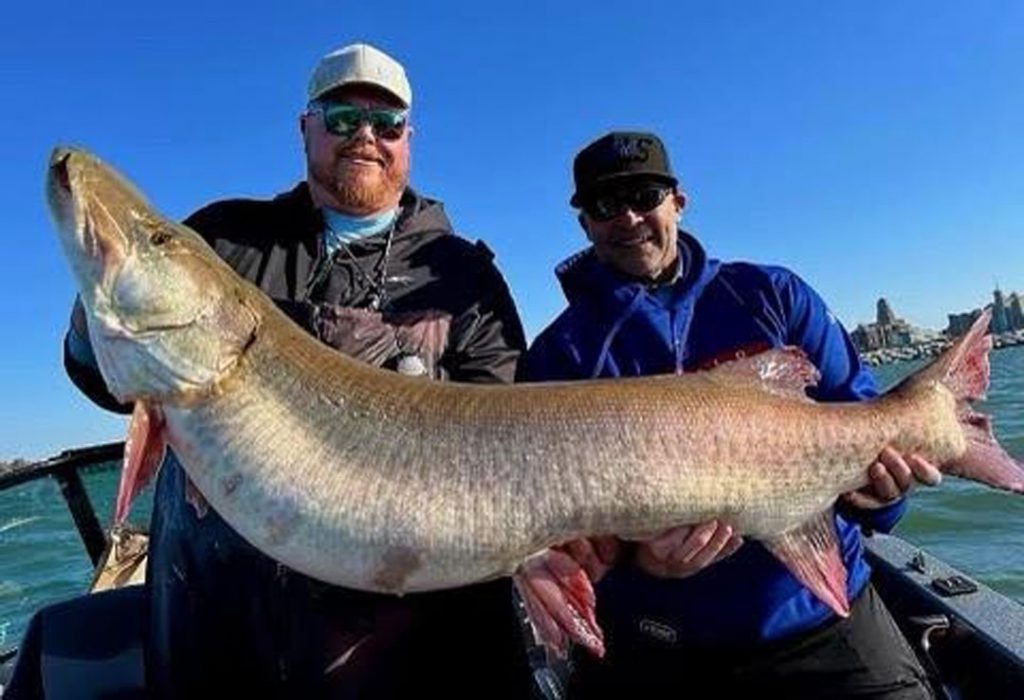 Capt. Hans Mann 55-inch musky