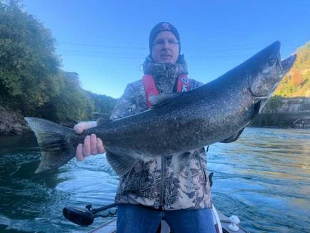 Don Warda king salmon