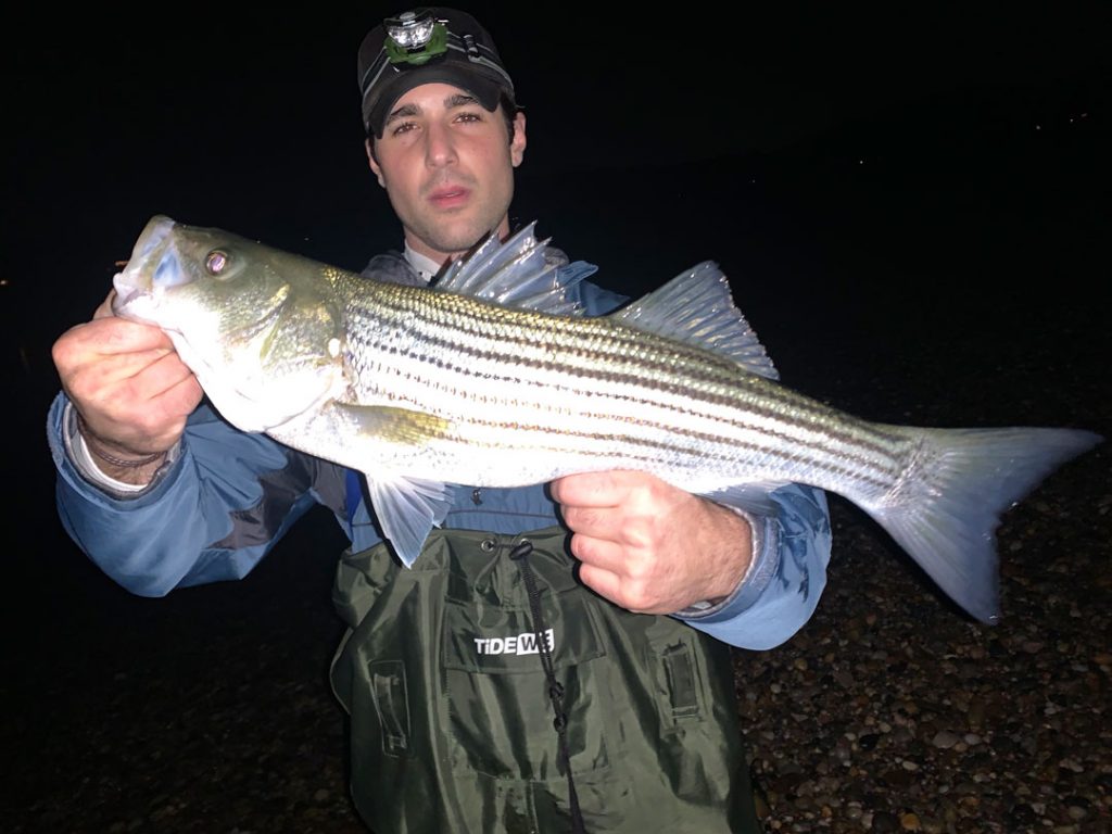 Matt Ventre schoolie