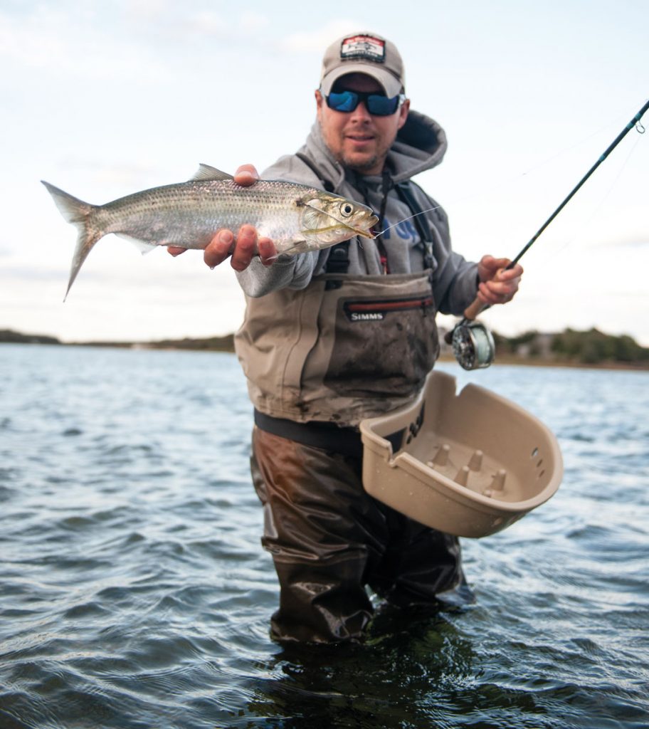 Jimmy Fee with hickory shad