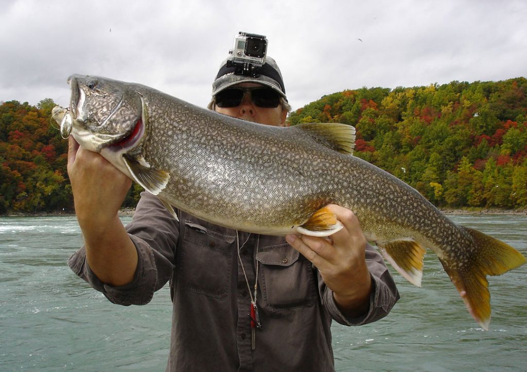 Mike Rzucidlo lake trout