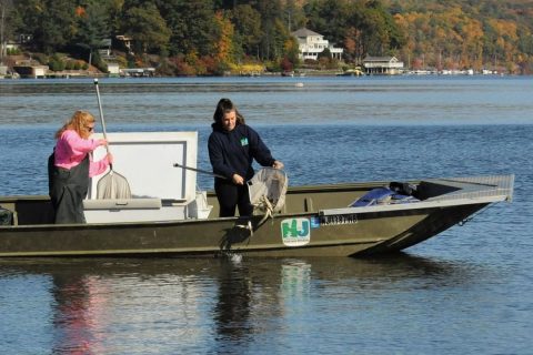 NJ DEP stocking musky