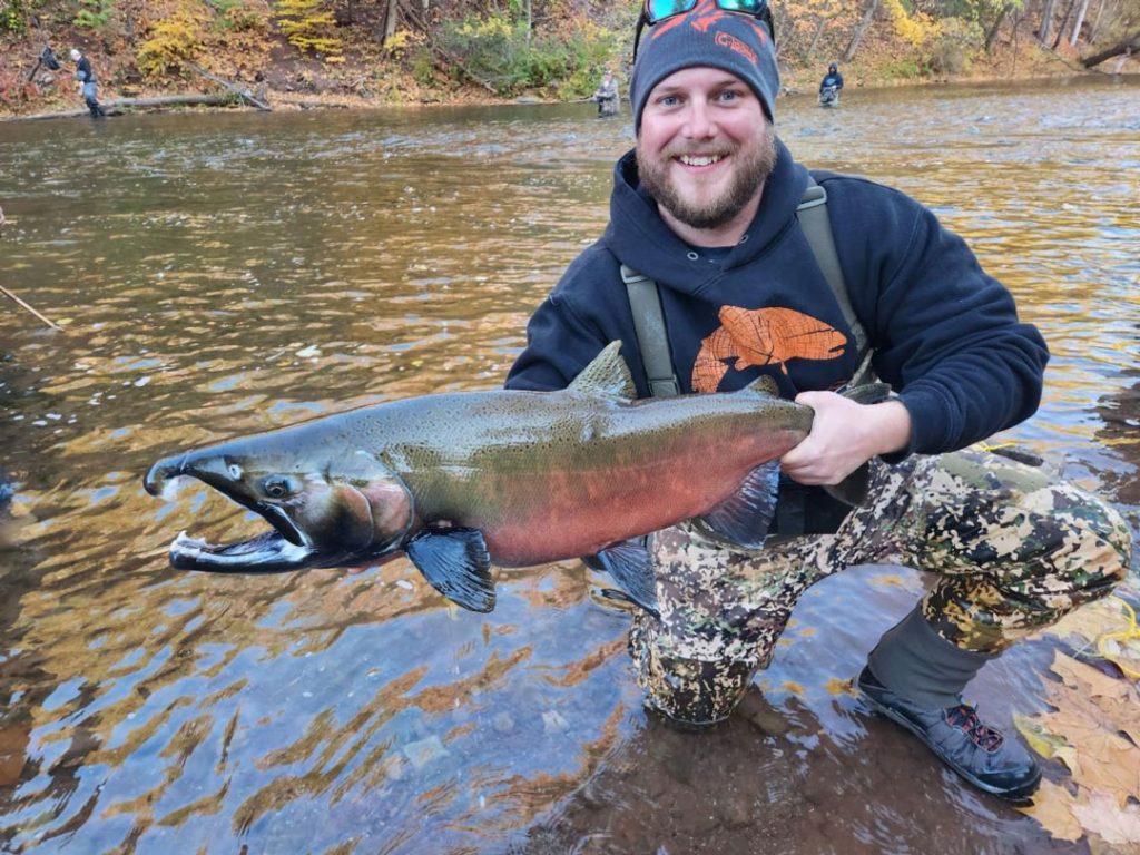 Orleans NY coho