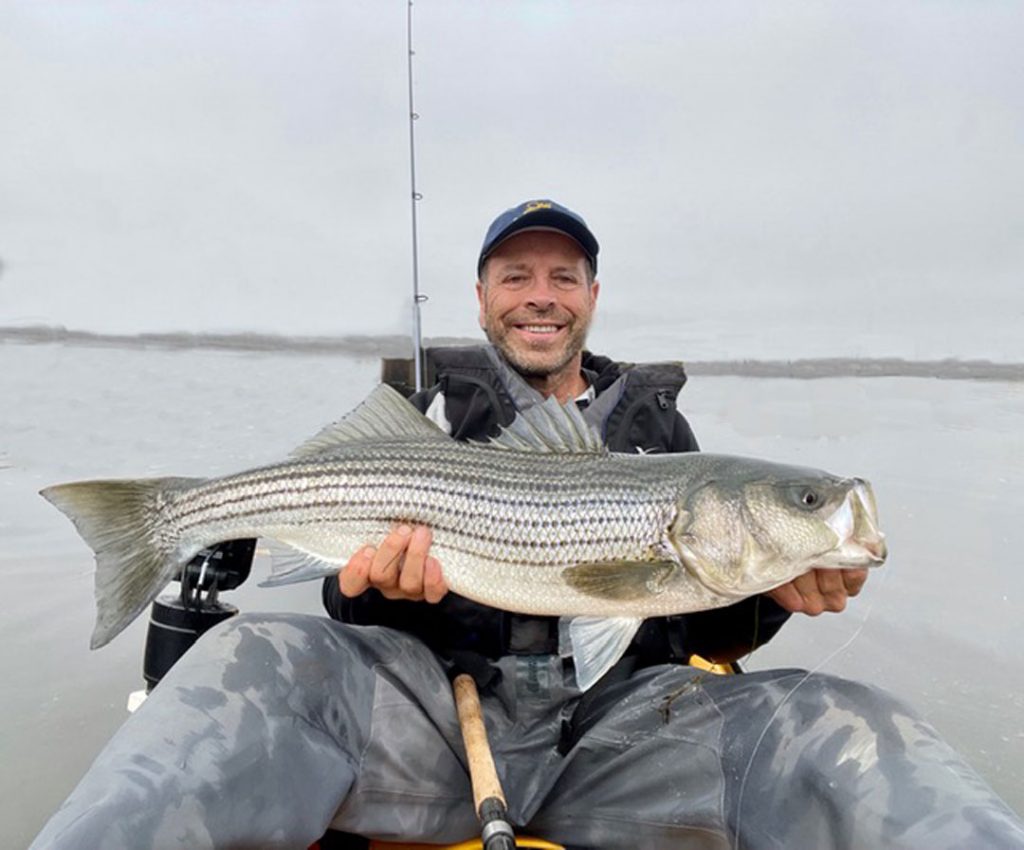 greater boston striper