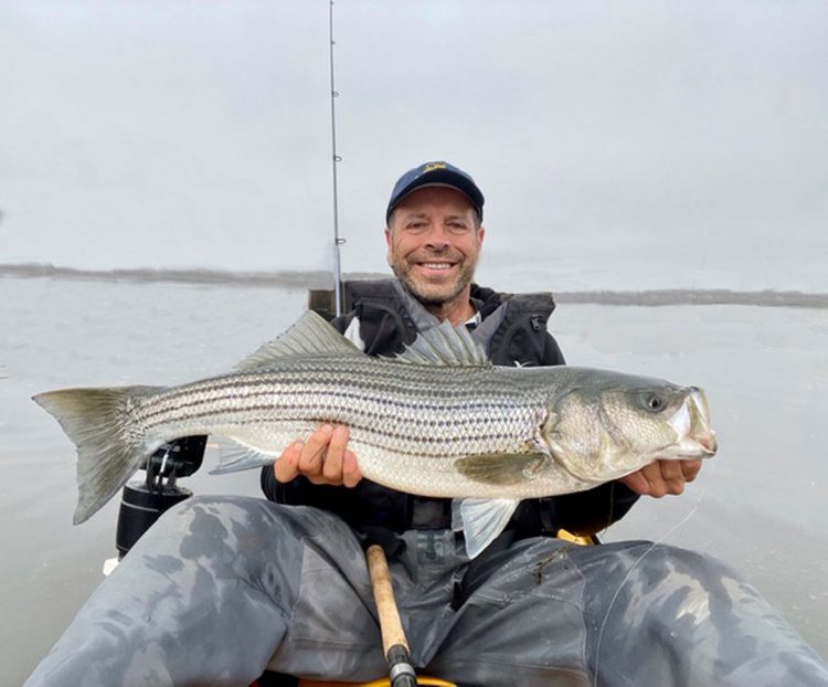 greater boston striper