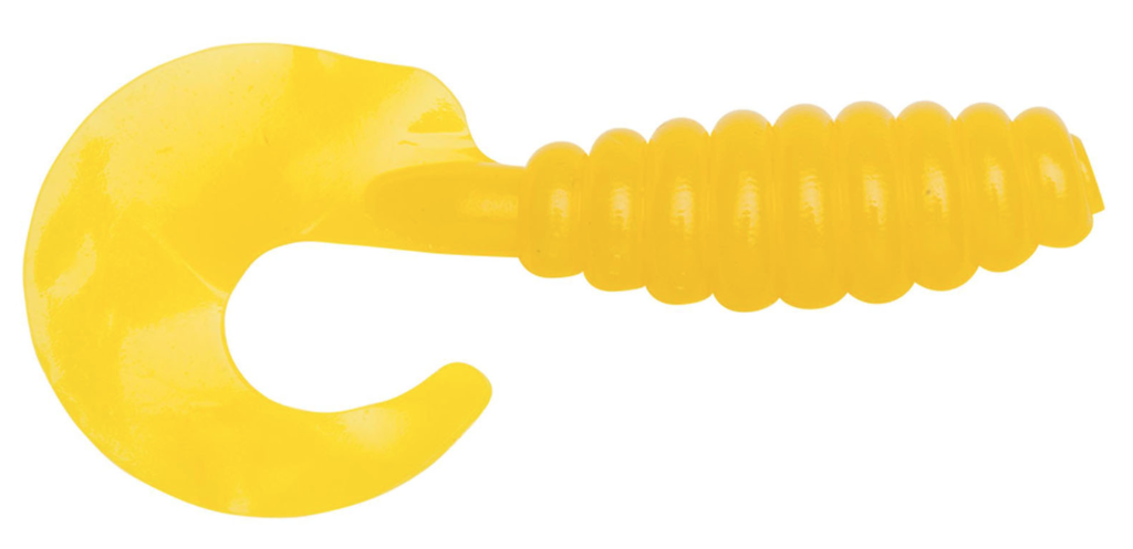 curly tail grub