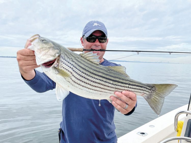 Raritan Bay striper on the fly