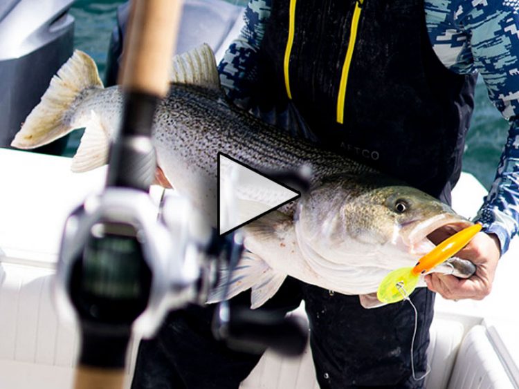 Trolling Deep Diving Plugs