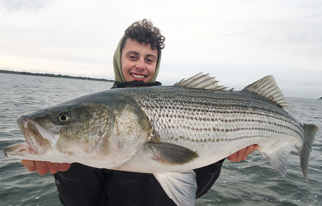 LI Sound striped bass