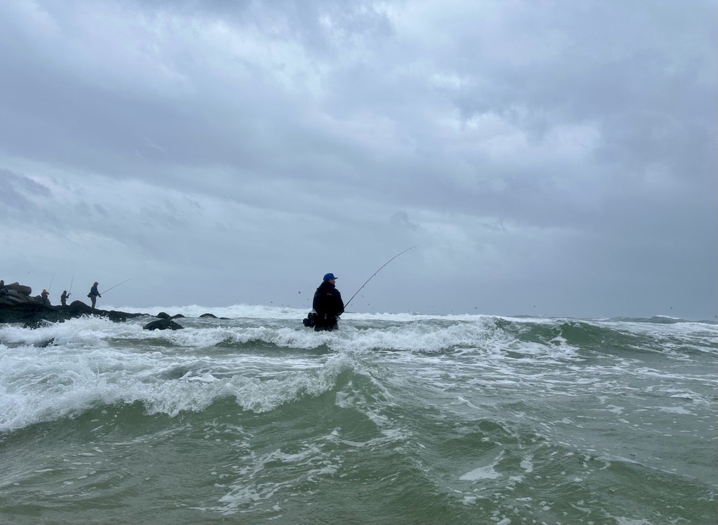 surfcasting for December stripers