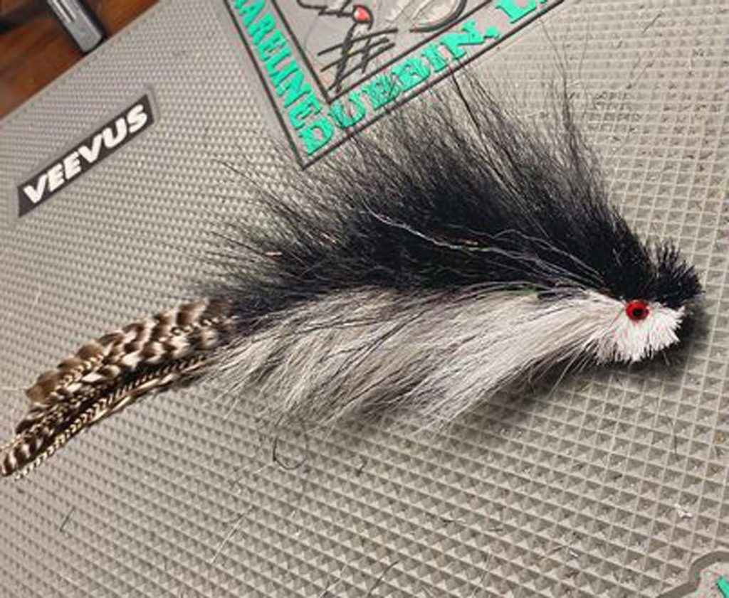 large black and white river changer fly
