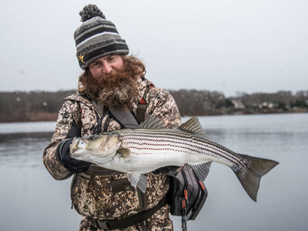 Rob Taylor with winter striped bass - December stripers