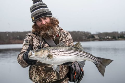 Rob Taylor with winter striped bass