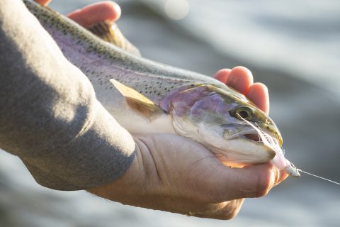Third Annual Orange County Youth Fishing Derby