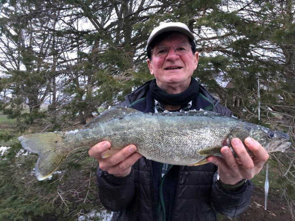 Steve B. walleye