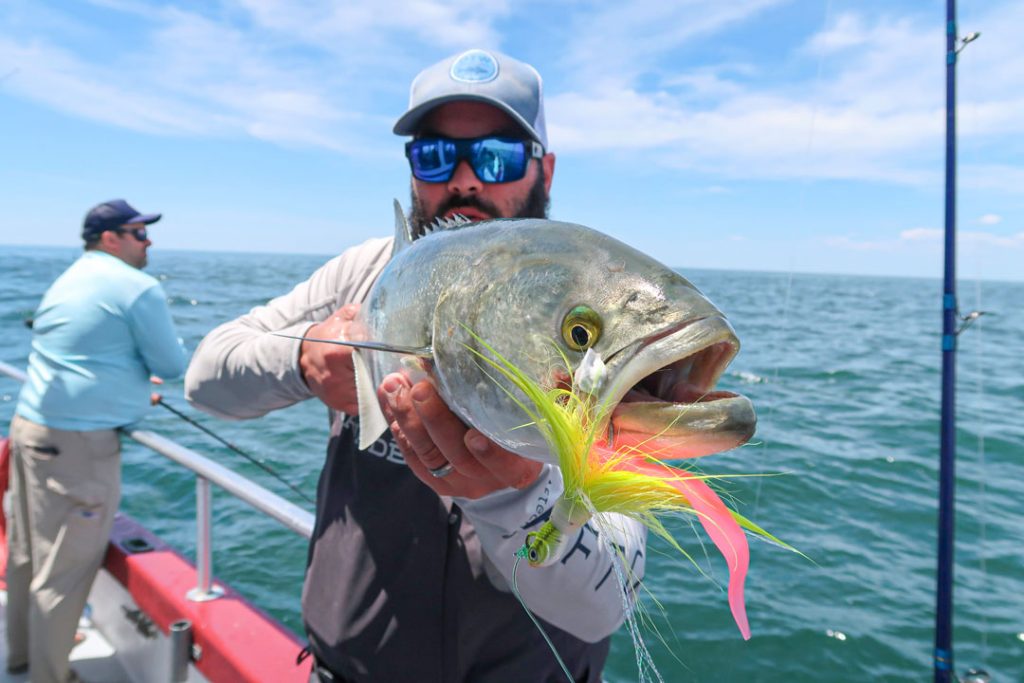 bluefish on Orient 3-Way Rig