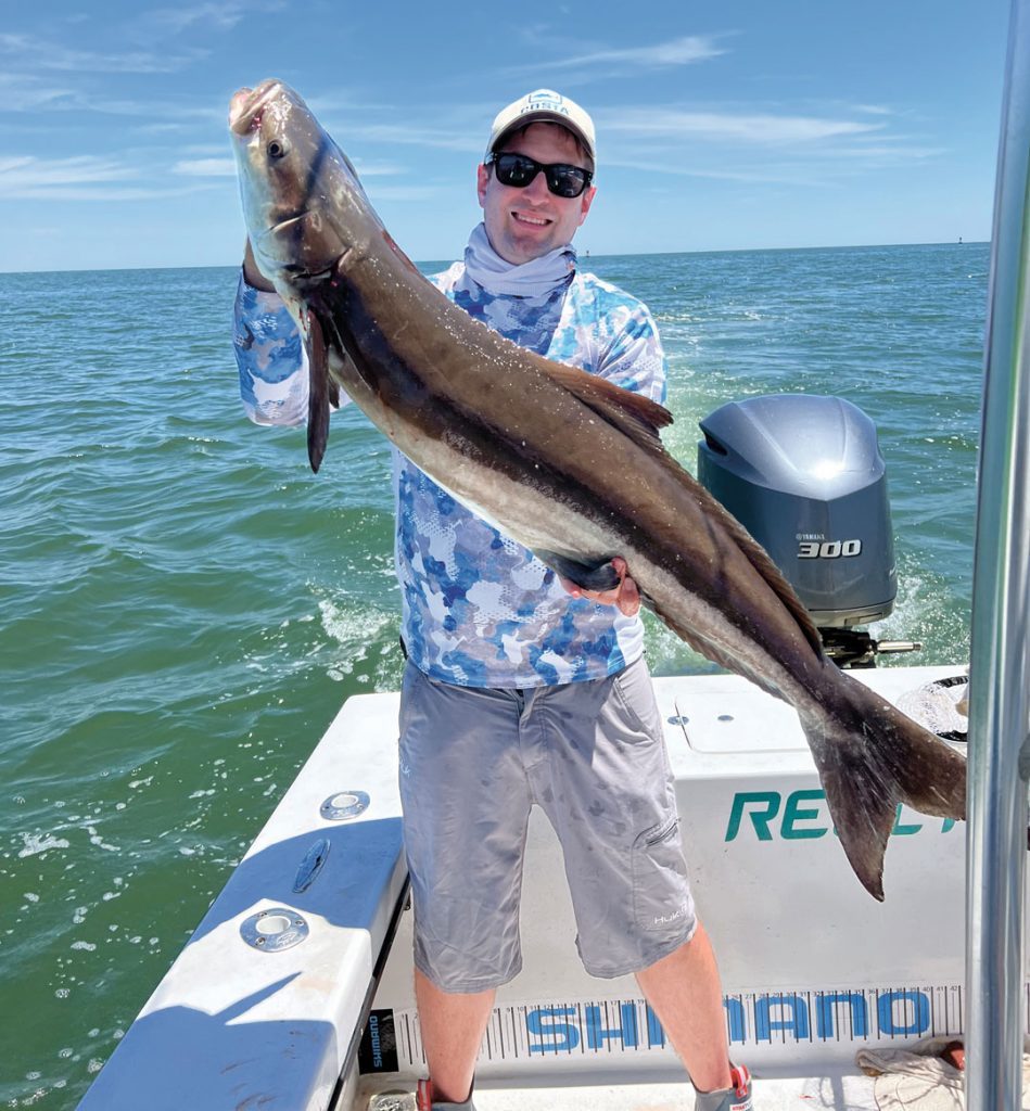 NJ cobia