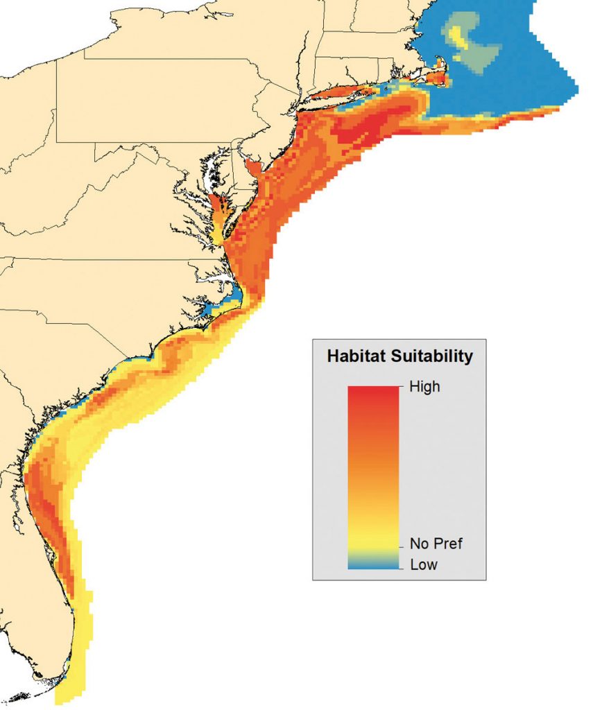 cobia future range map