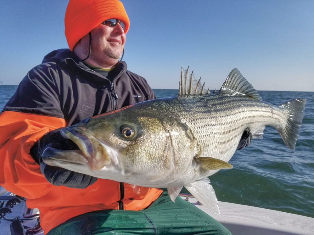 December striper