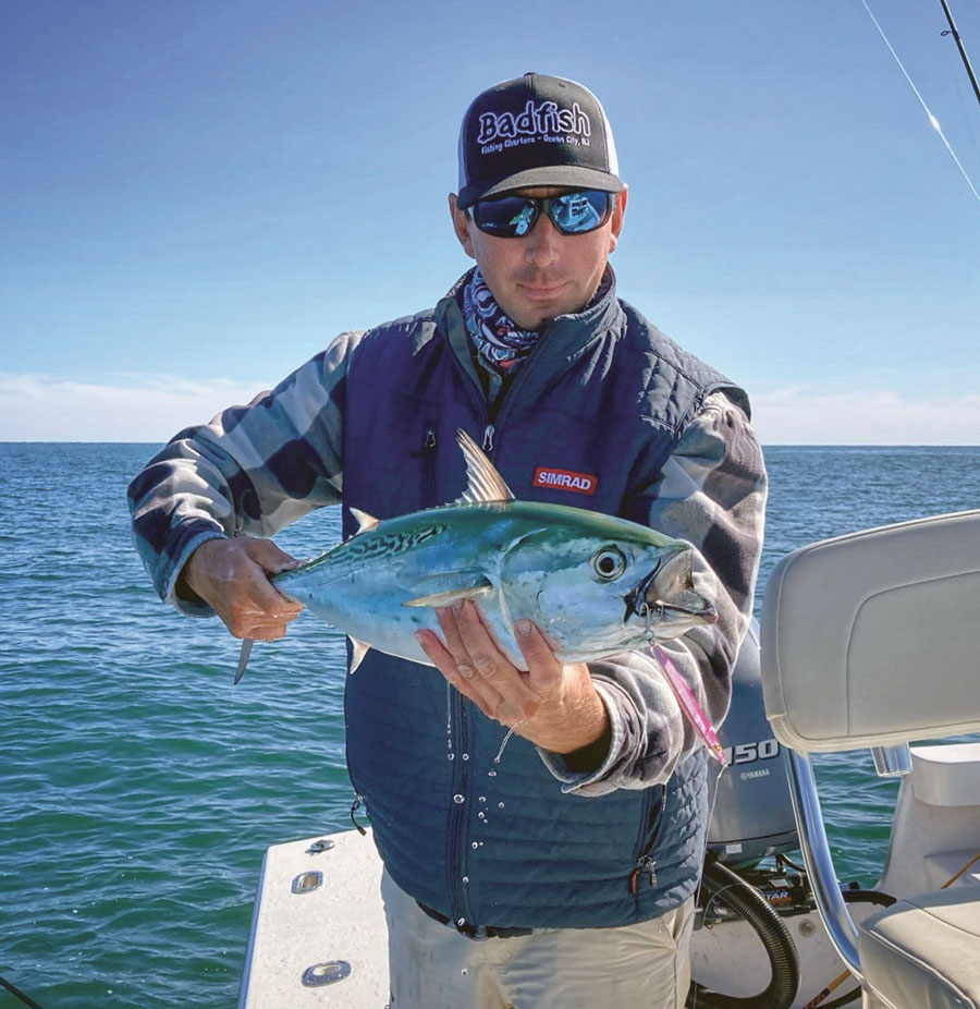 SNJ false albacore