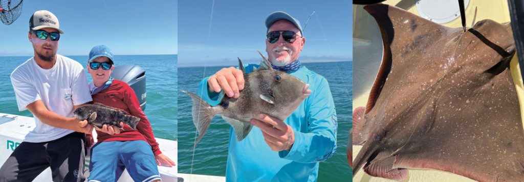 variety of species found whild cobia fishing