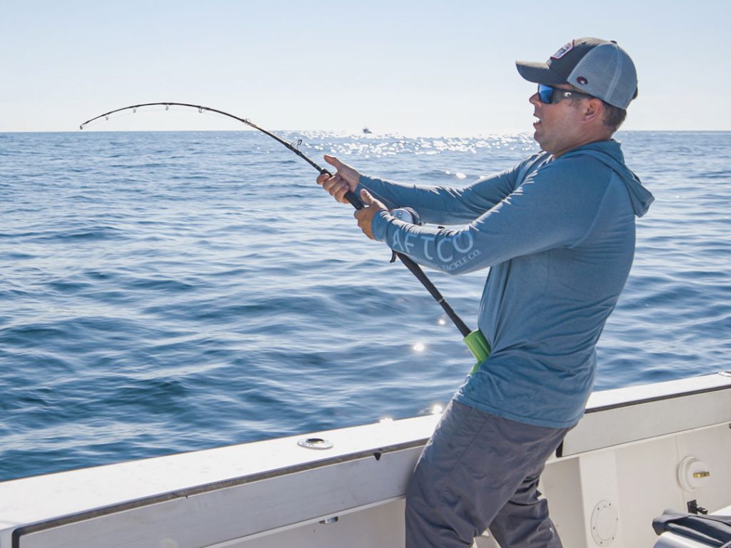Keeping the heat on a bluefin