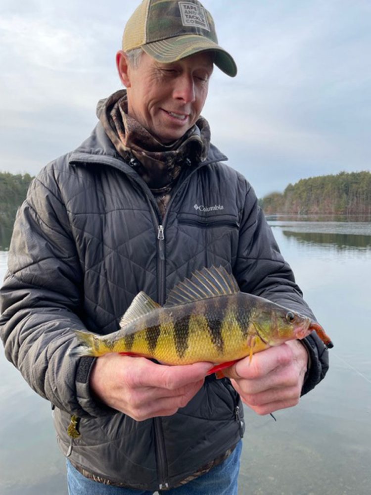 Steve Langton yellow perch