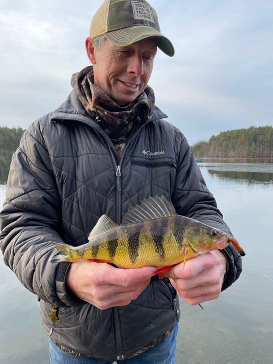 Steve Langton yellow perch
