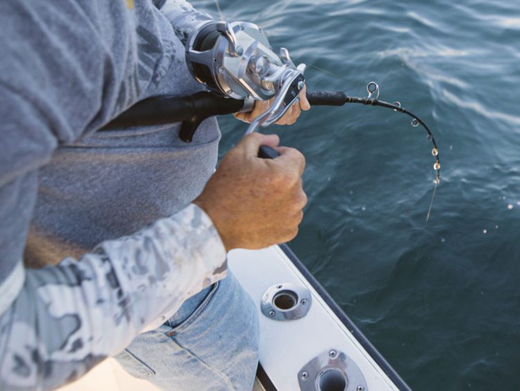 Short, stout jigging rod