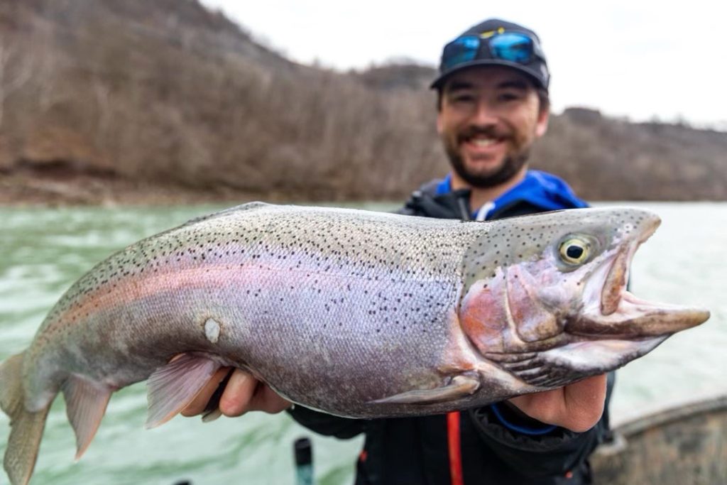 Dan Amundson steelhead