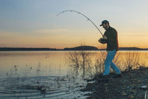 laketrout caught from shore