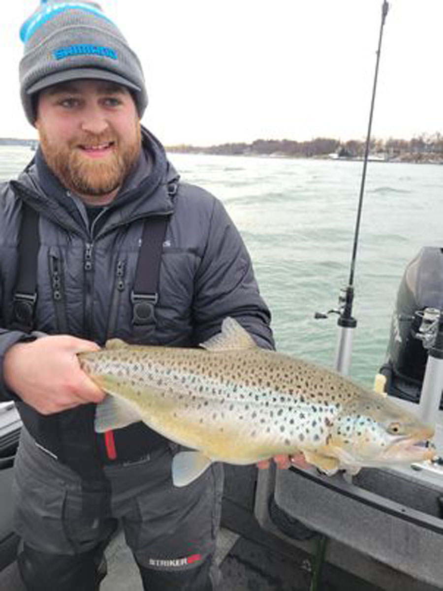 Danny Edwards brown trout