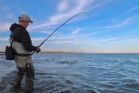 Breaking Down Bucktail Jigs and Trailers
