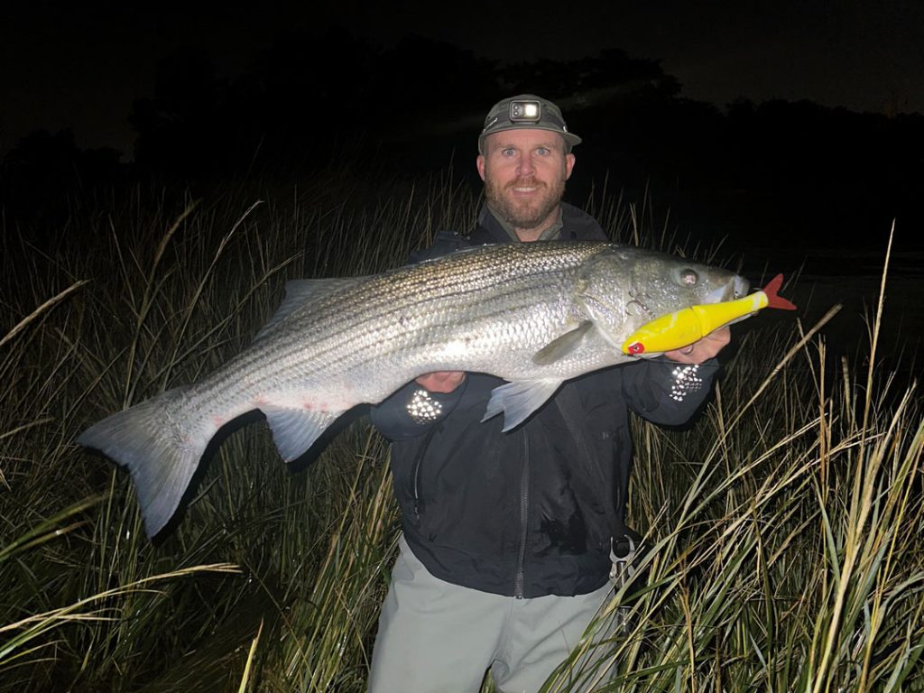 Mike Gleason striped bass on glidebait