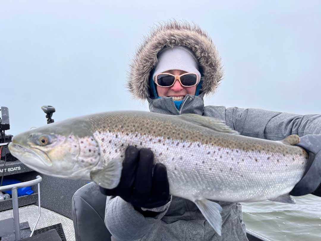 Lauren P. brown trout