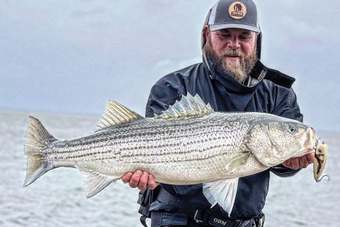 Nick Criaris spring striper on Scabelly Glider