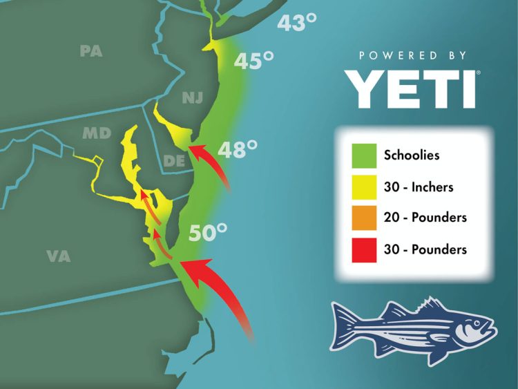 2023-03-24 Striper Migration Map