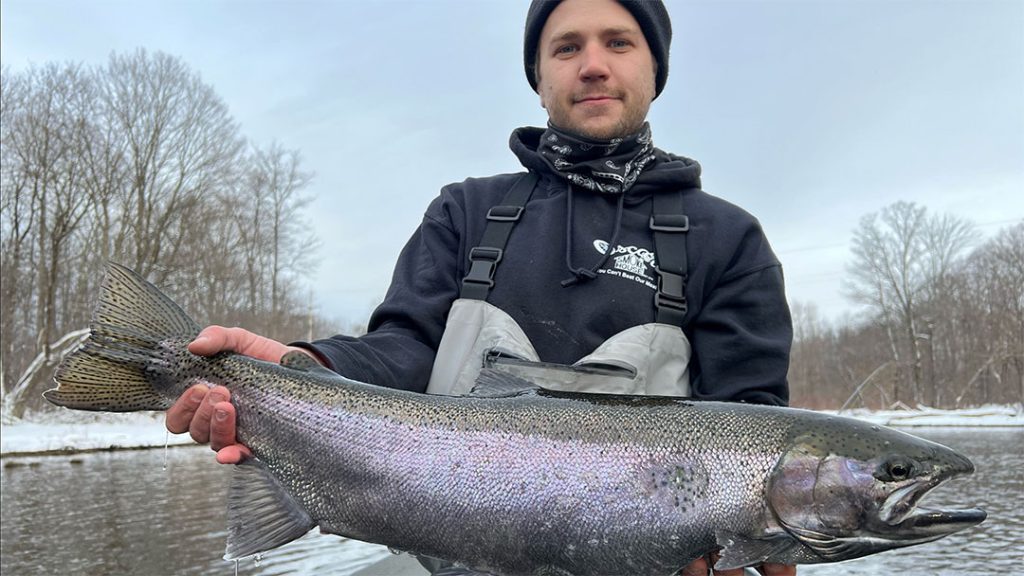 Tyler steelhead