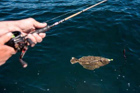 6 Rigs to Know for Fluke Season