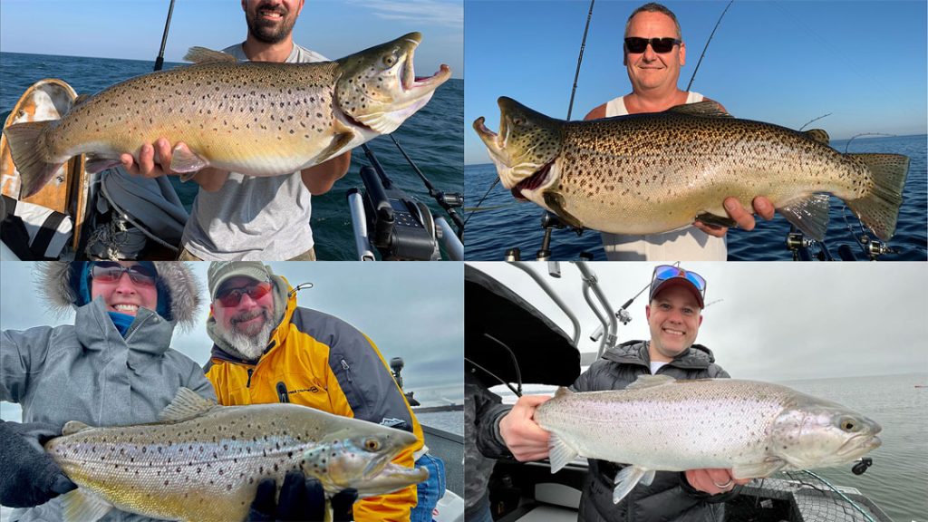 Brown trout fishing tips