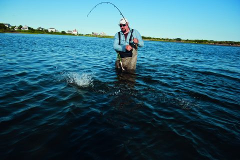 Using the Ned Rig for Fluke
