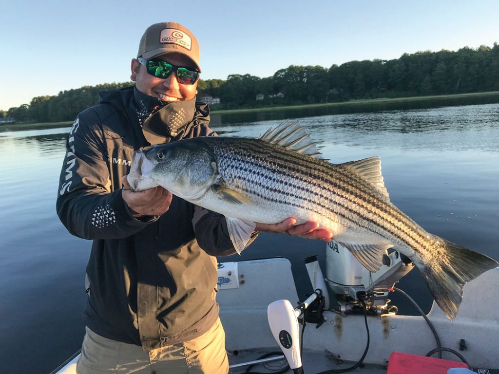 Captain Lou Tirado catching schoolie stripers on topwater